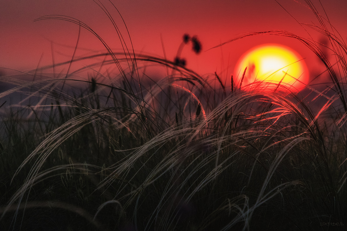 В конце весны