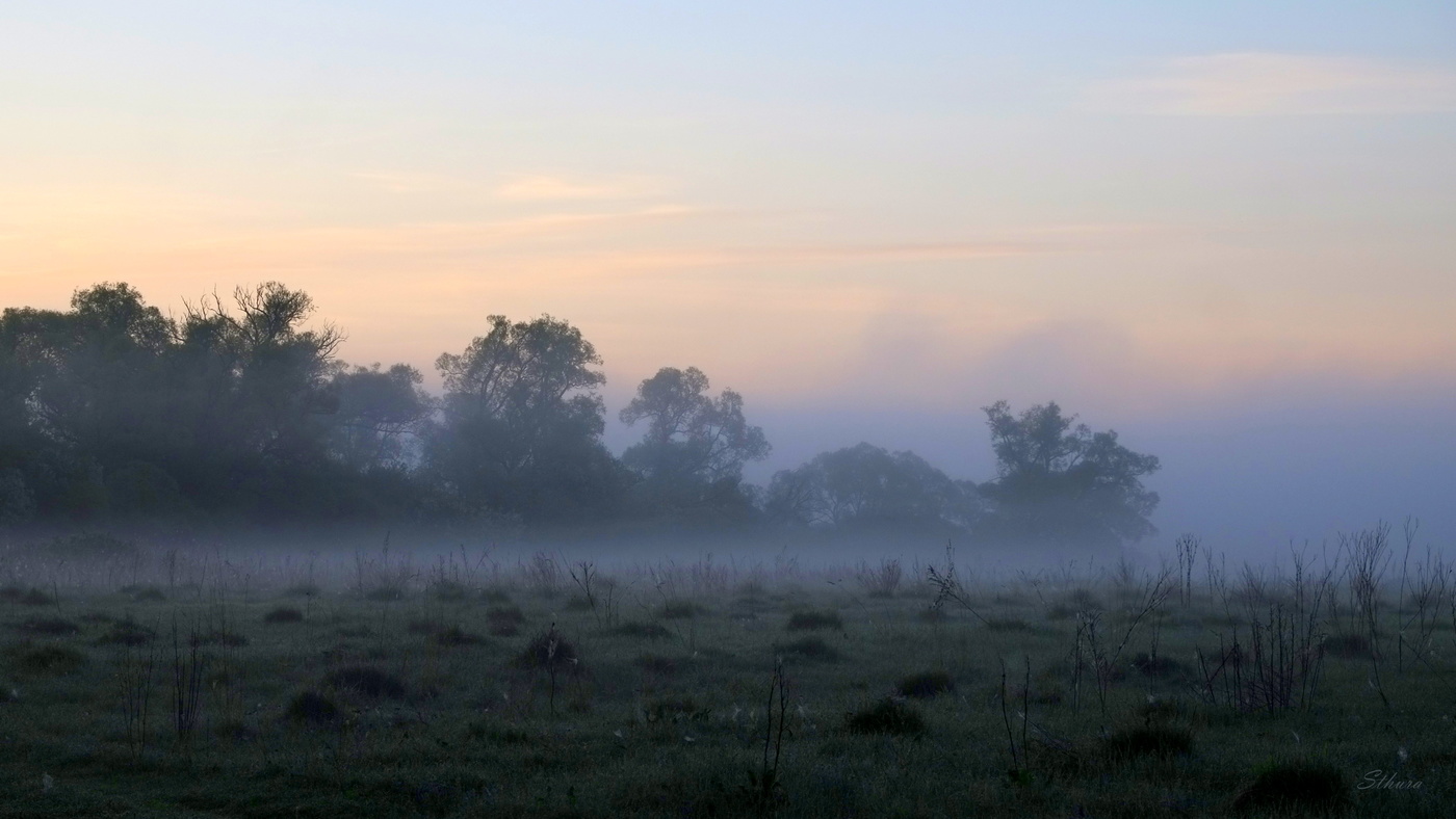 Весенние туманы.