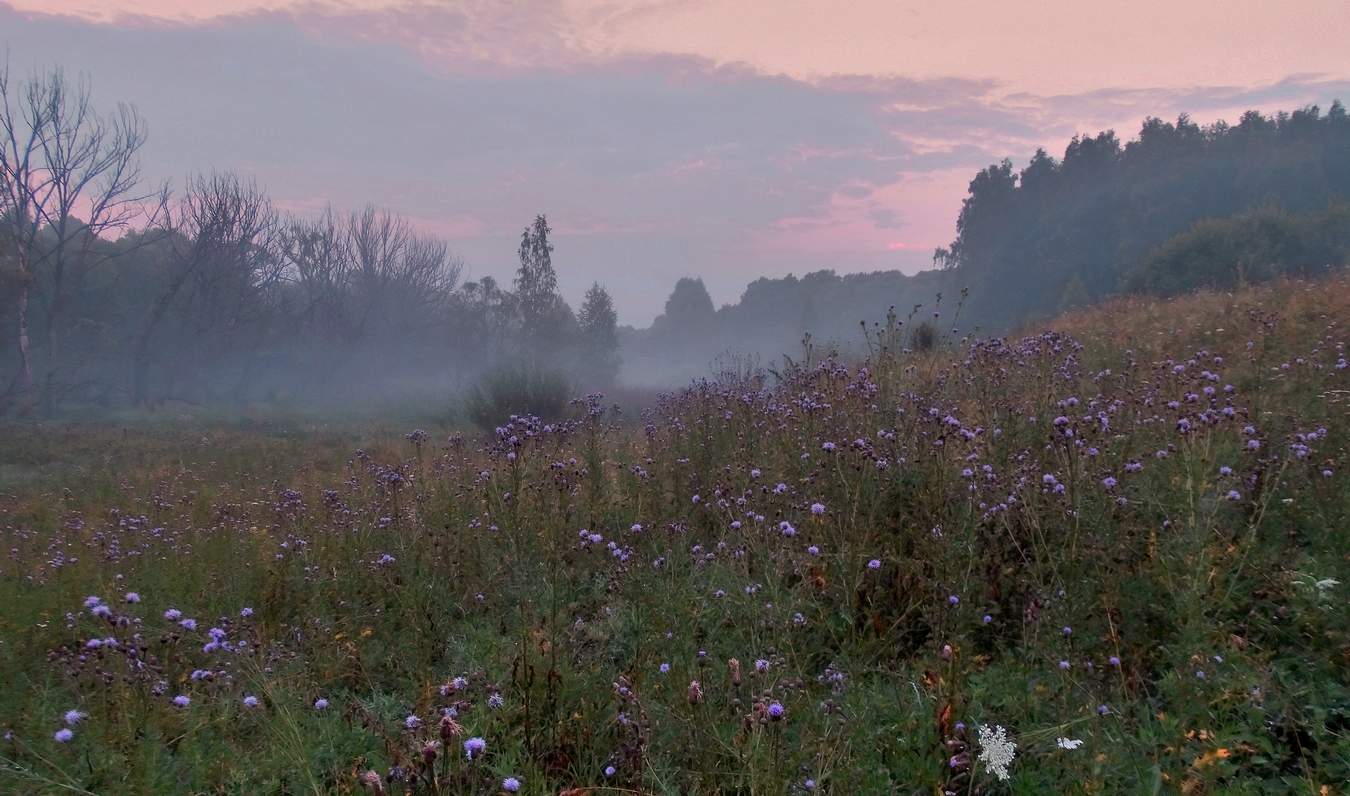 Утренняя туманная заря