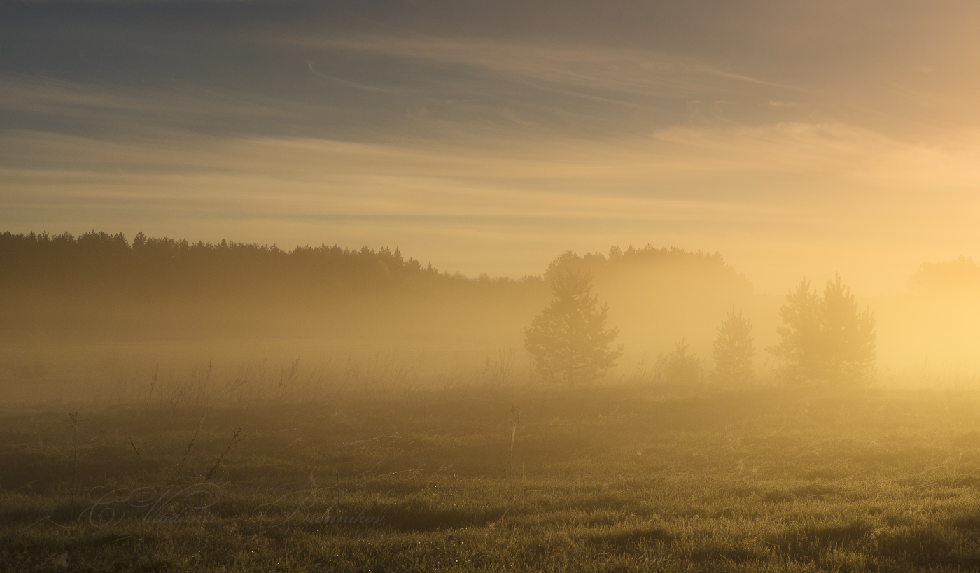 Солнечный туман