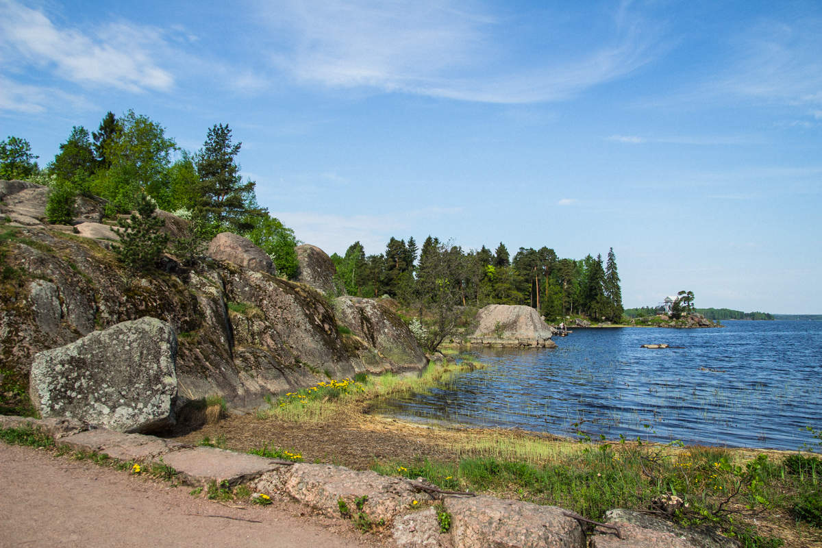 в парке Монрепо