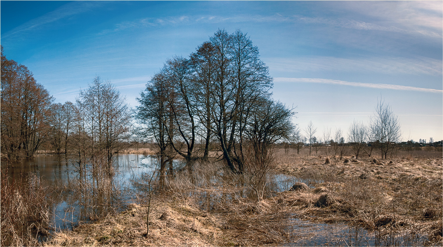 Птичь весной