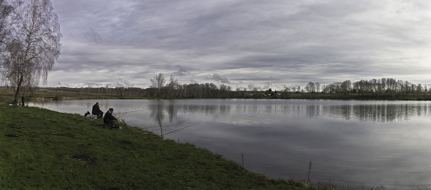 утро на пруду
