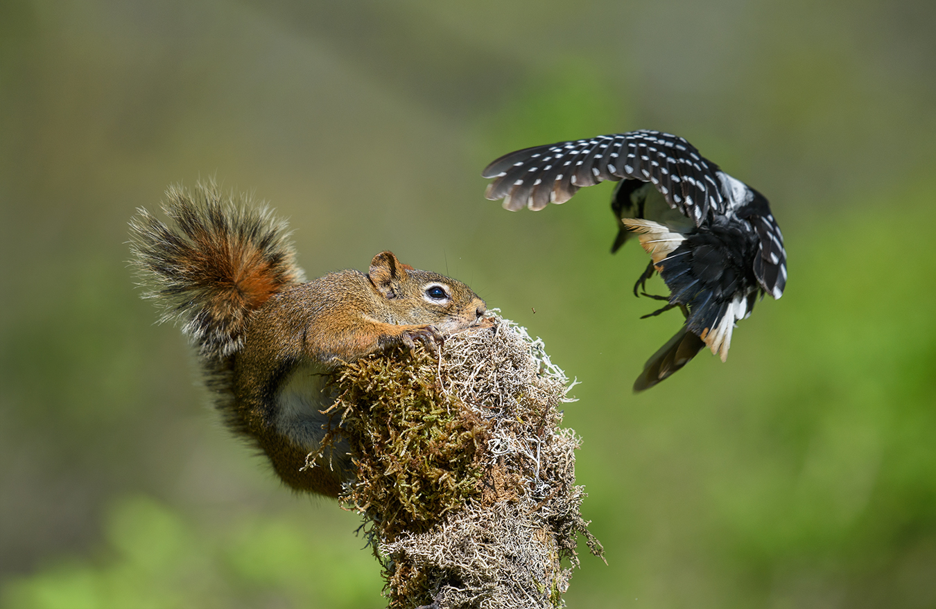 Rivals~конкуренты