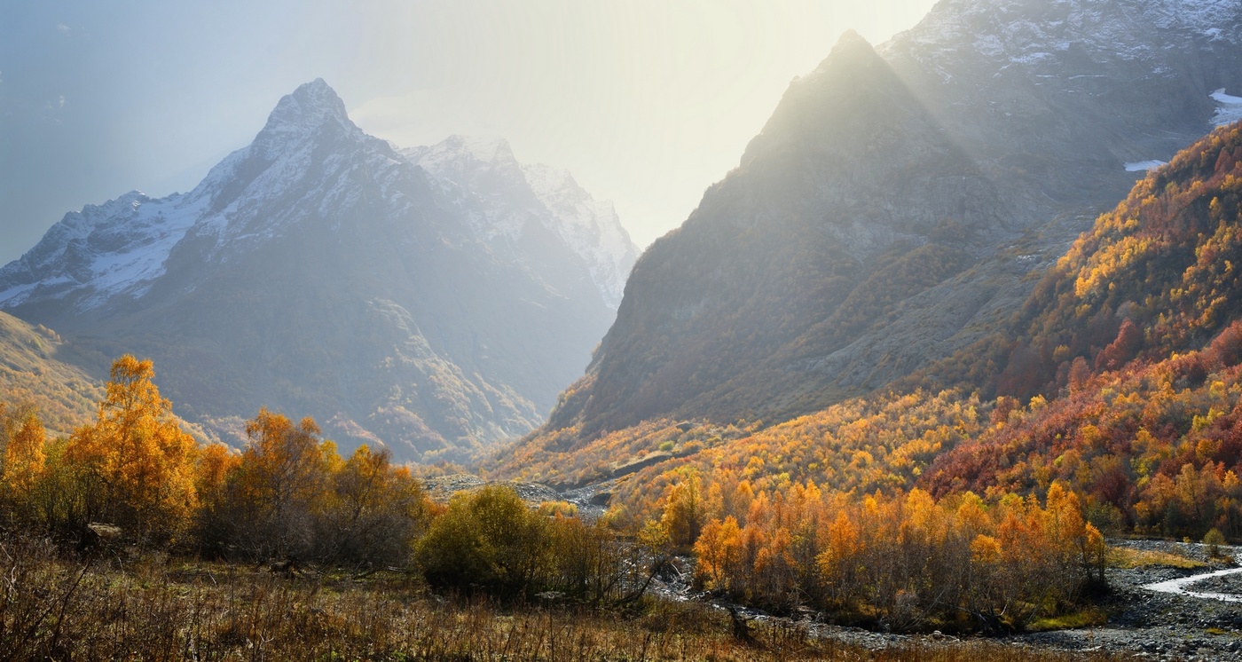 Осеннее утро