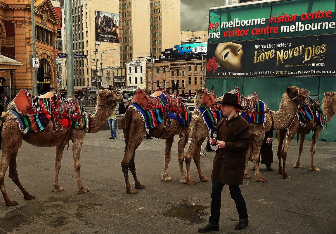 Ритмы города