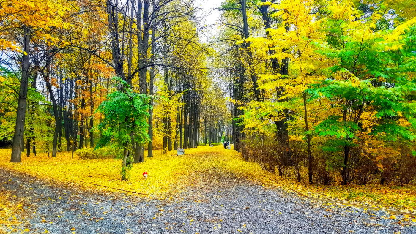 Ритмы города