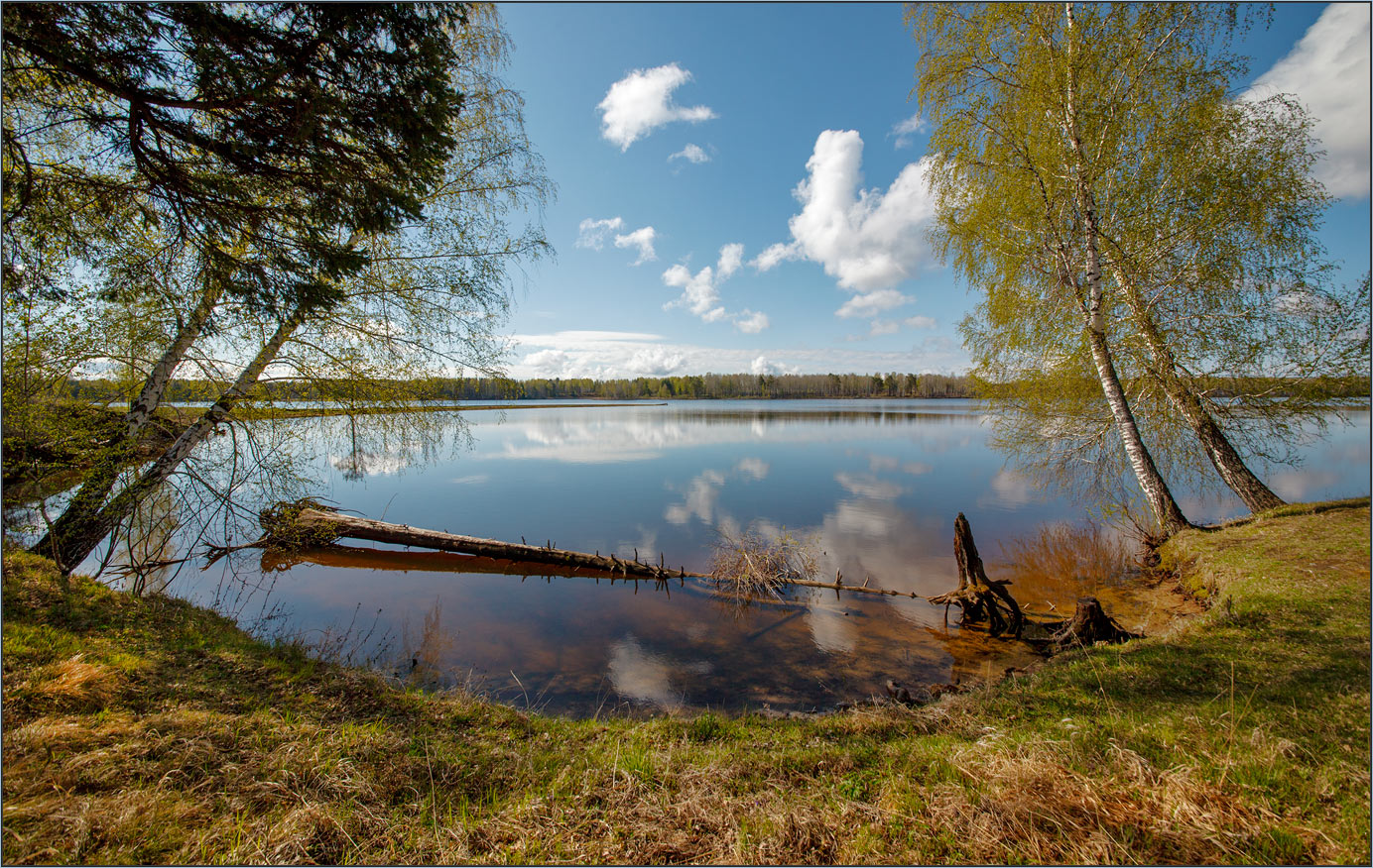 Без названия