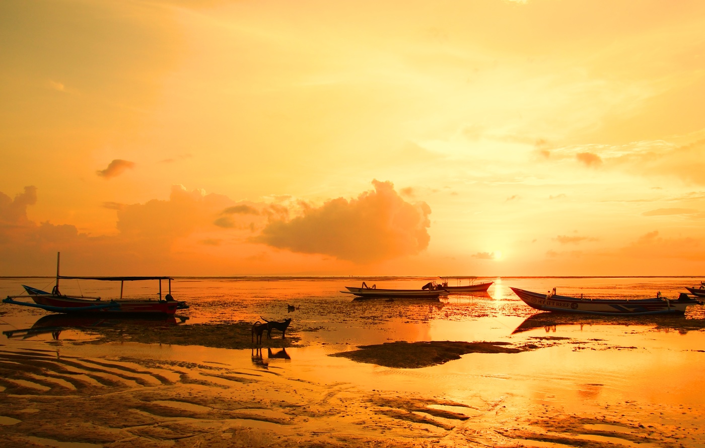 Южное утро...