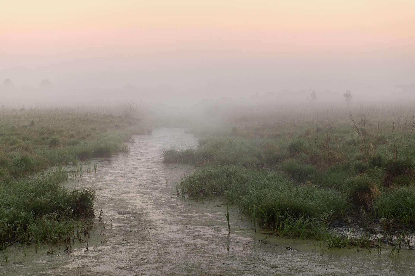 Нежность и красота тумана