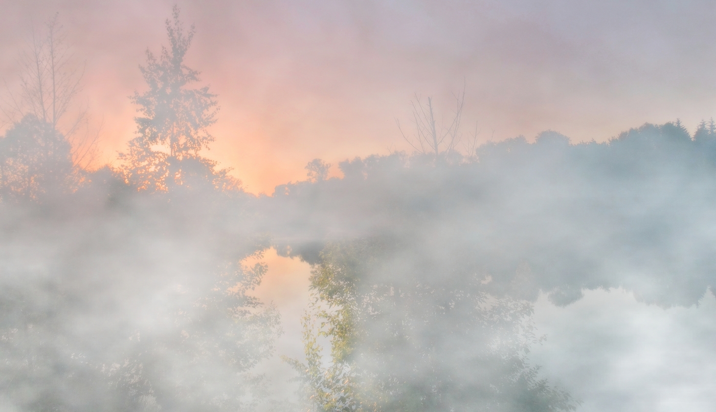 Майский туманный вечер