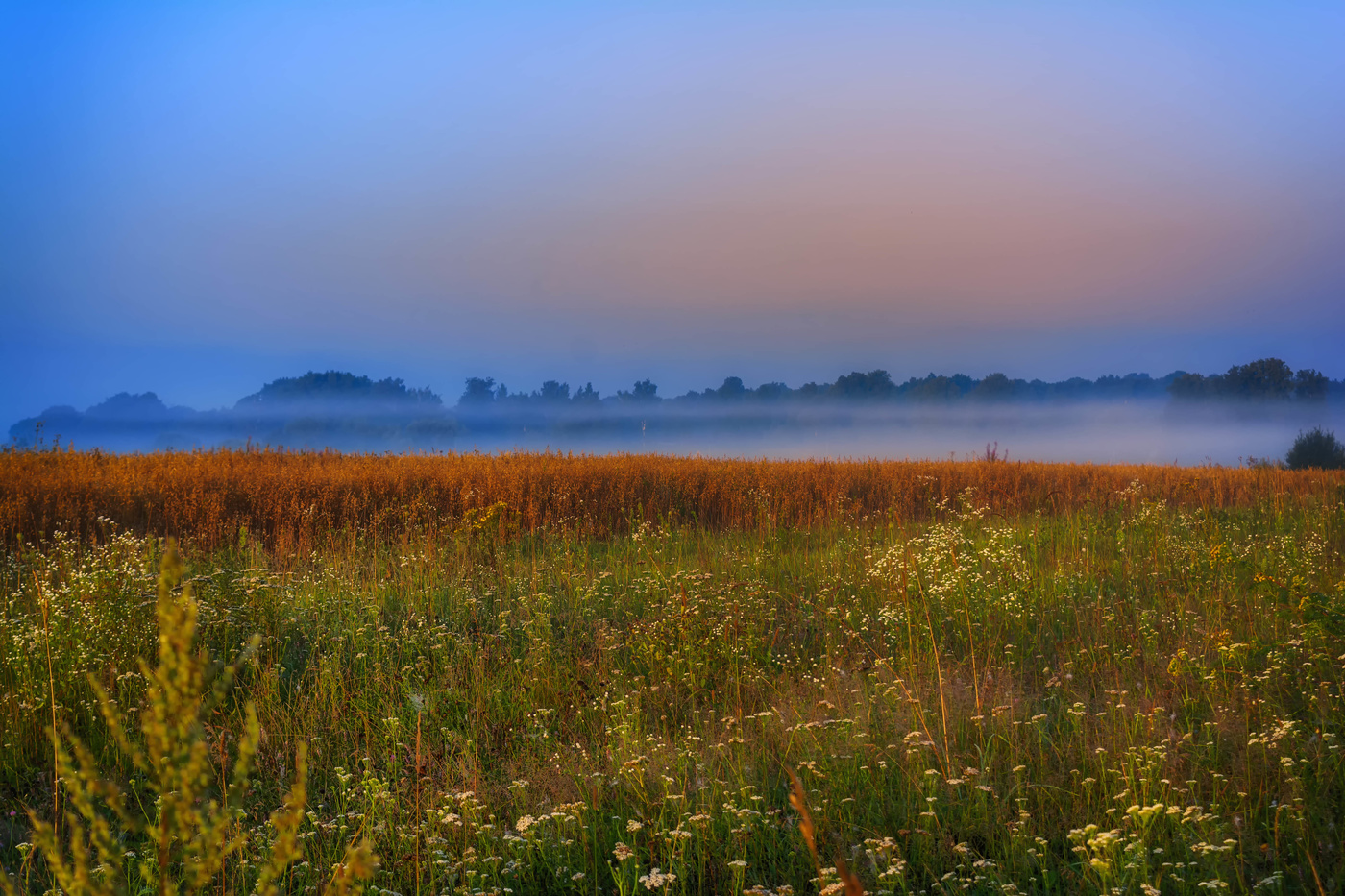 Синий туман.