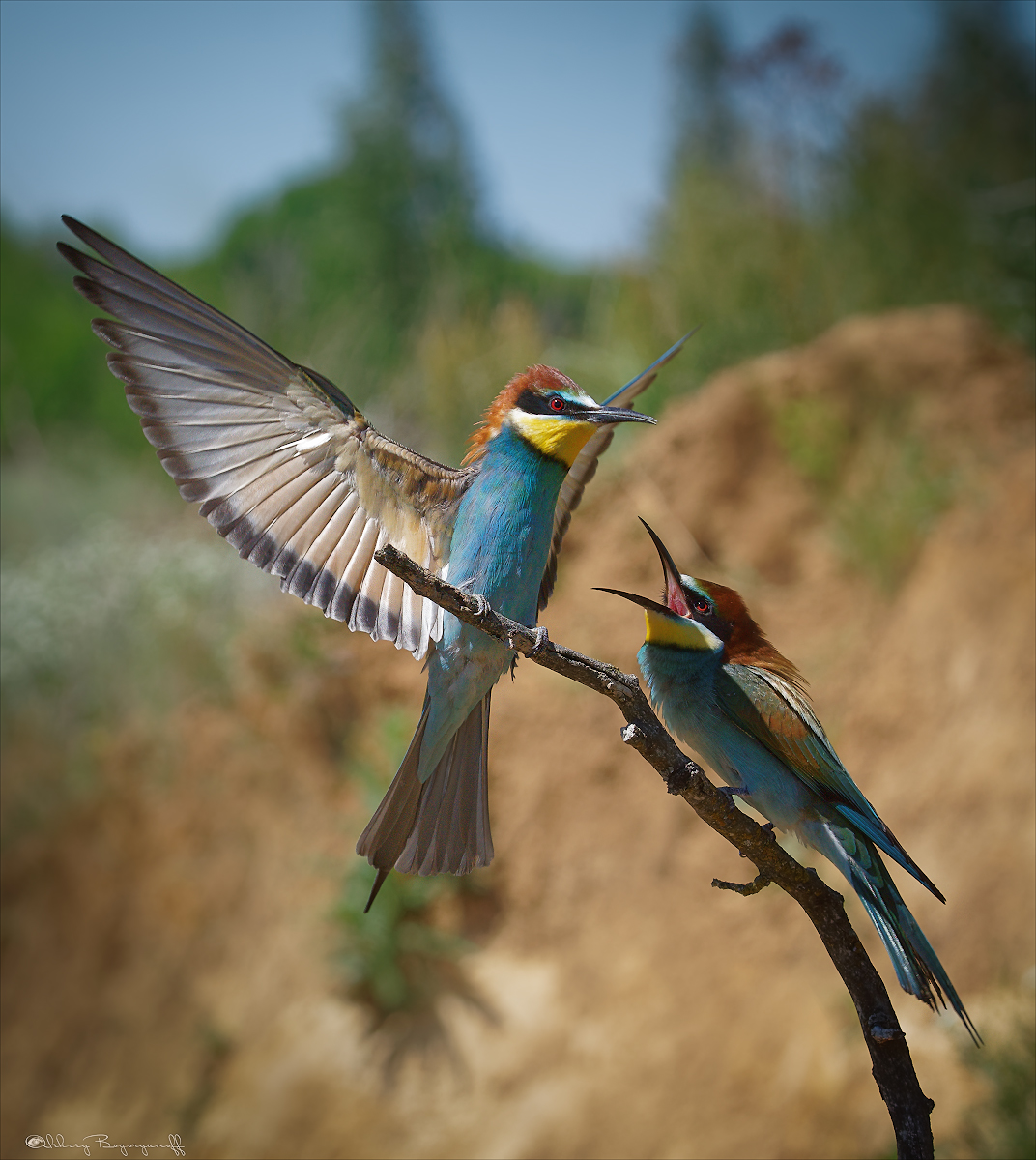 Да я от вас, в полном восторге!