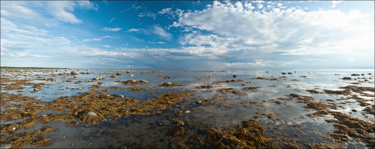 В ожидании прилива..