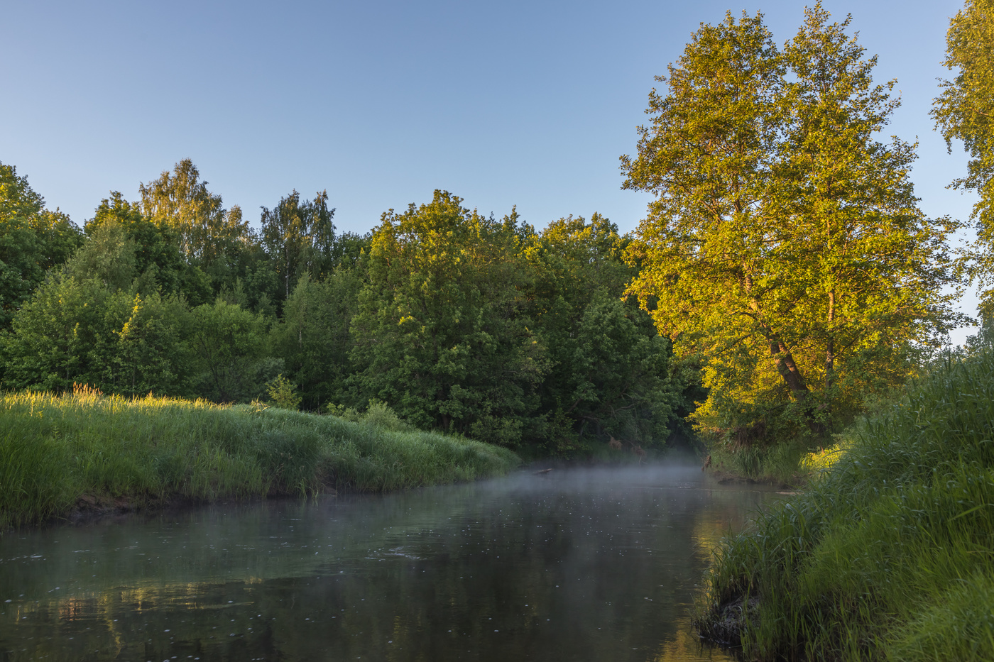 Майское утро