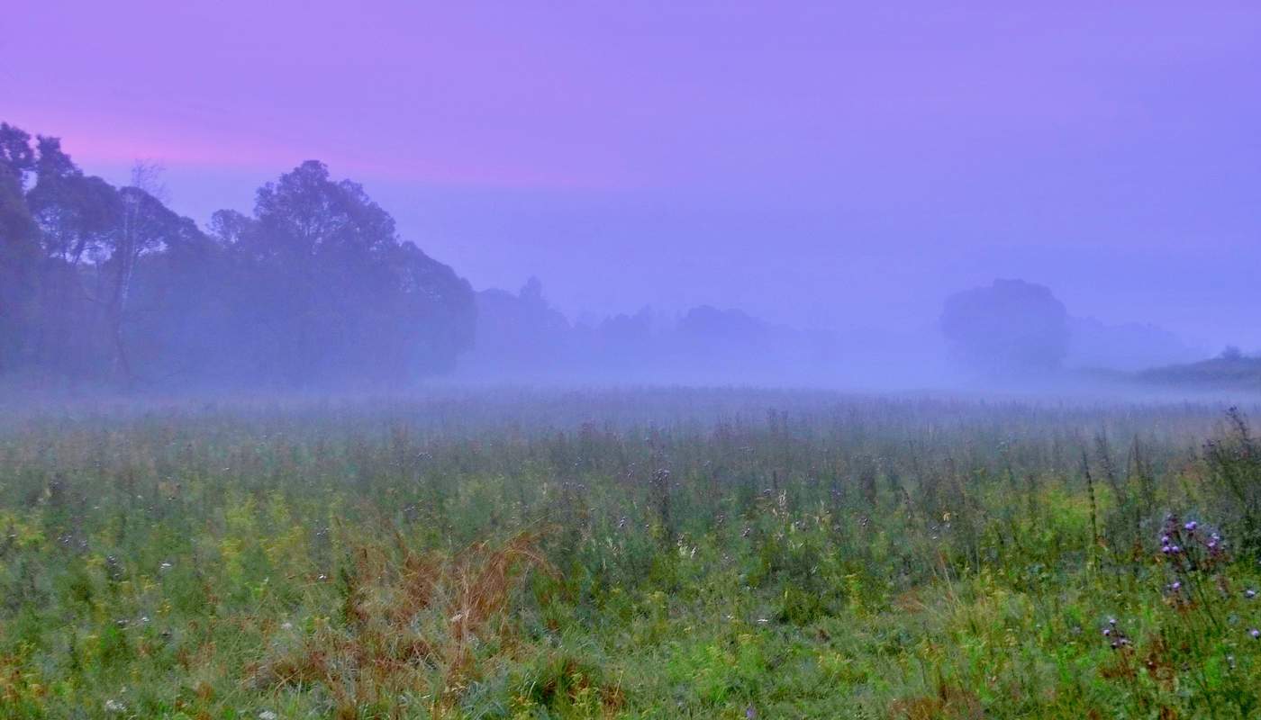 Рассвет сквозь туман