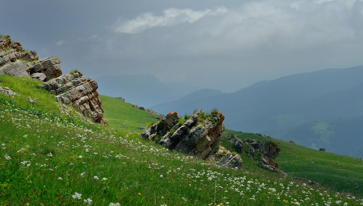 Летний вечер