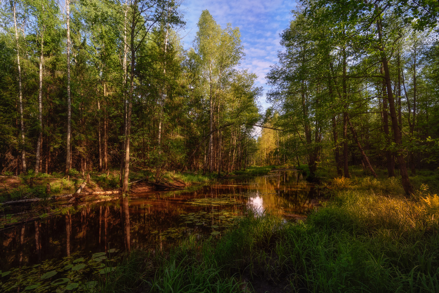 места заповедные