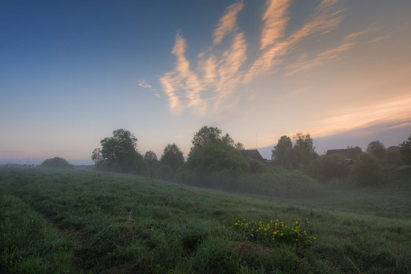 Туманная мелодия мая