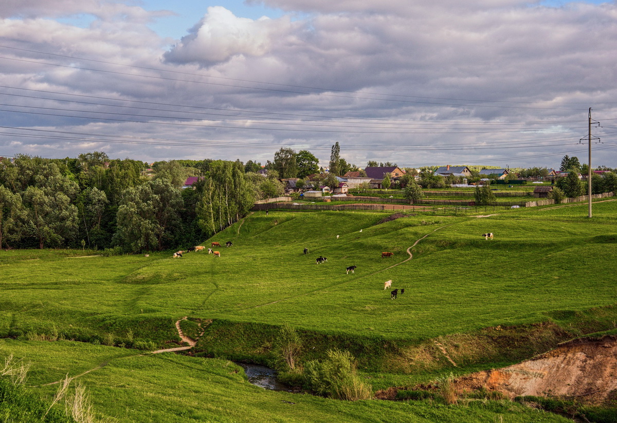 Родная пастораль