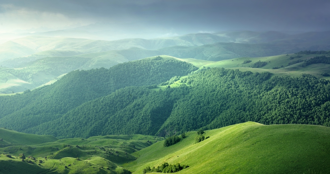 Туманое утро