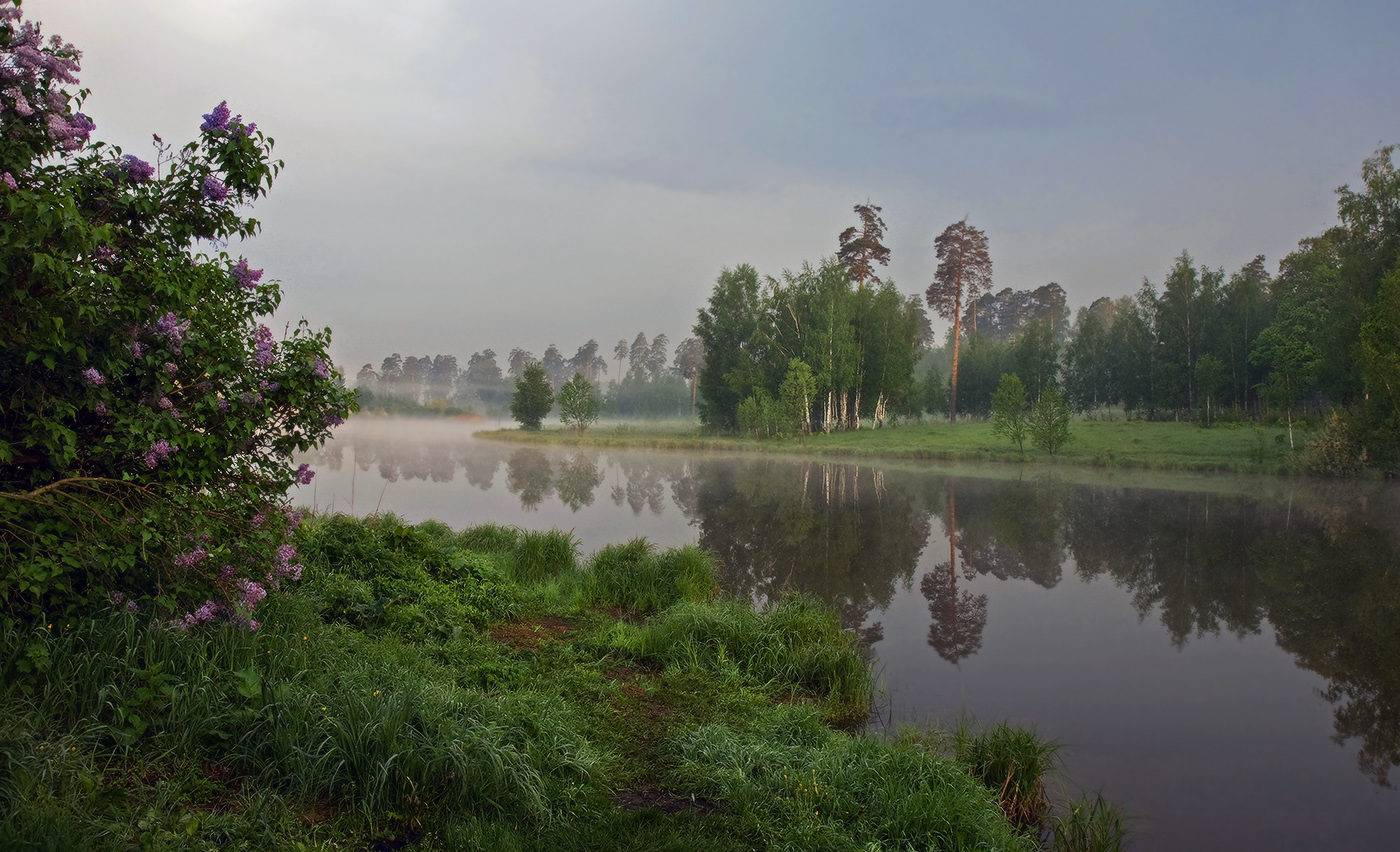 Сиреневый рассвет