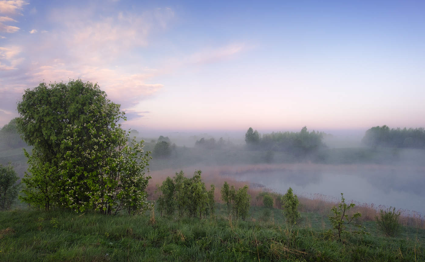 Туманная дымка рассвета