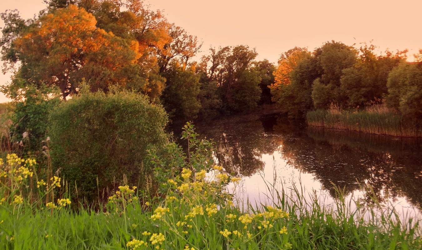 Майский вечер