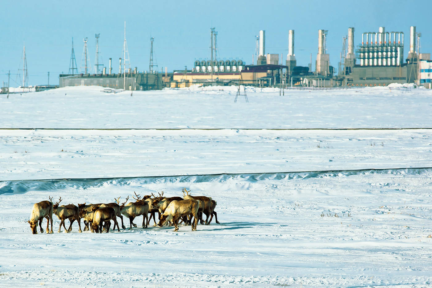 Хрупкое равновесие