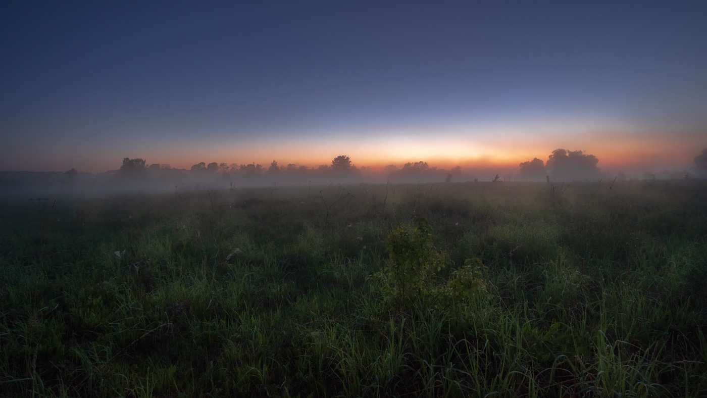 Предрассветная полевая