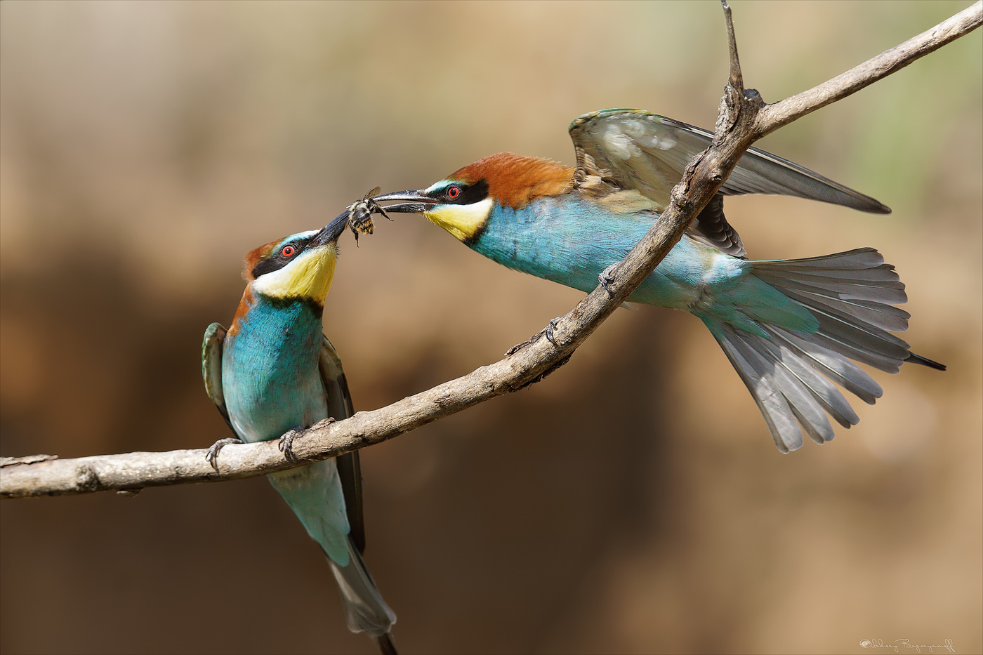 Все для тебя...Любимая!