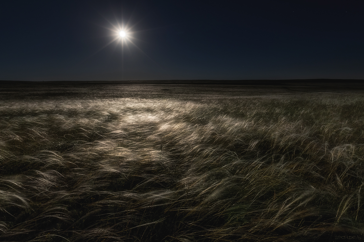 Ночь. Степь. Луна. Ковыль.