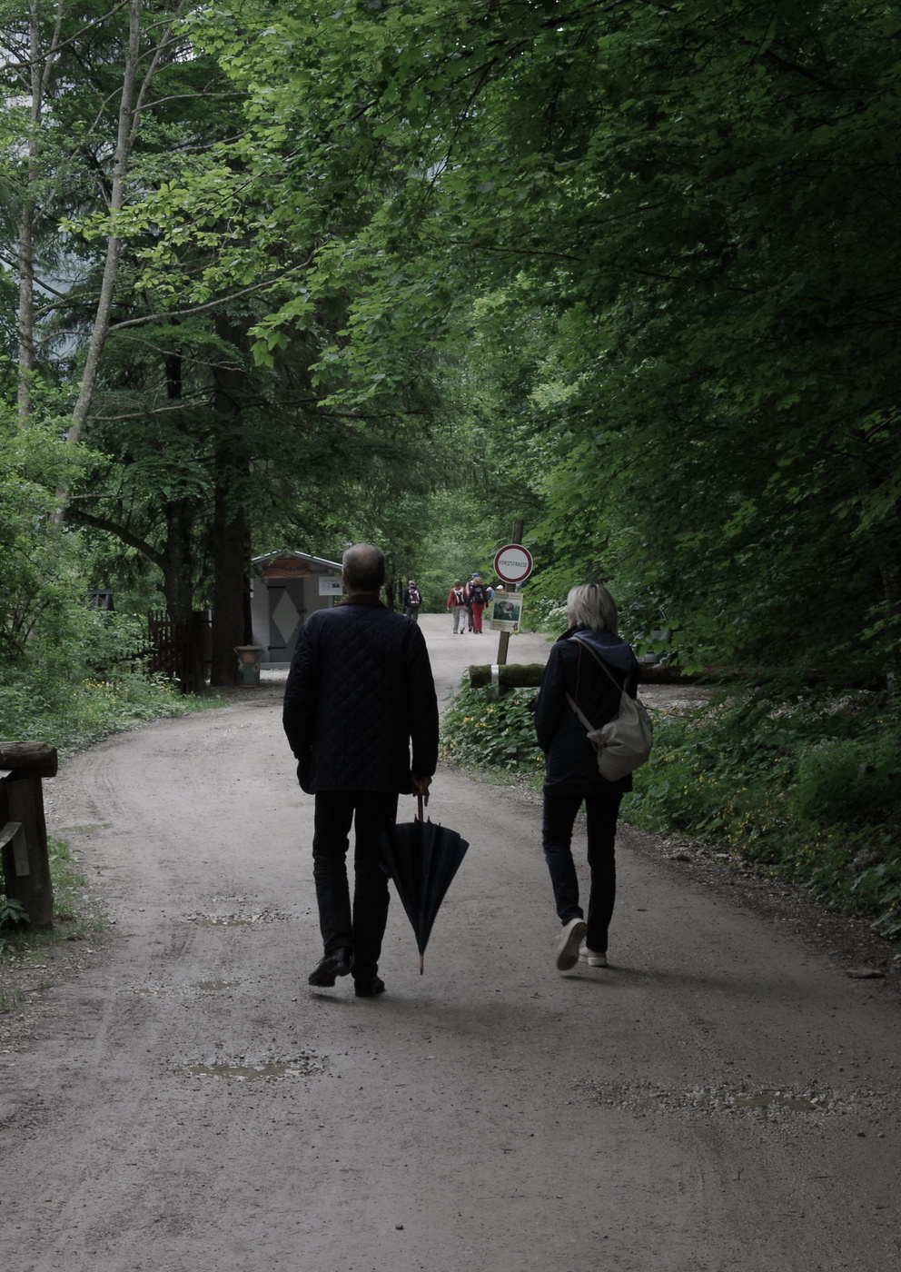 История не моей жизни