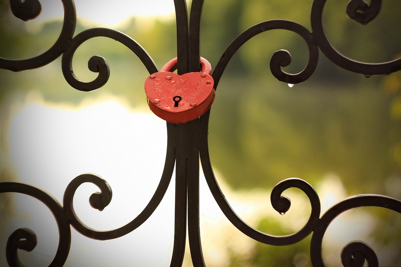 История не моей жизни