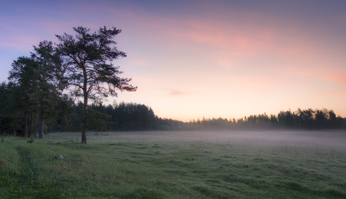 Зыбкое движение утреннего тумана