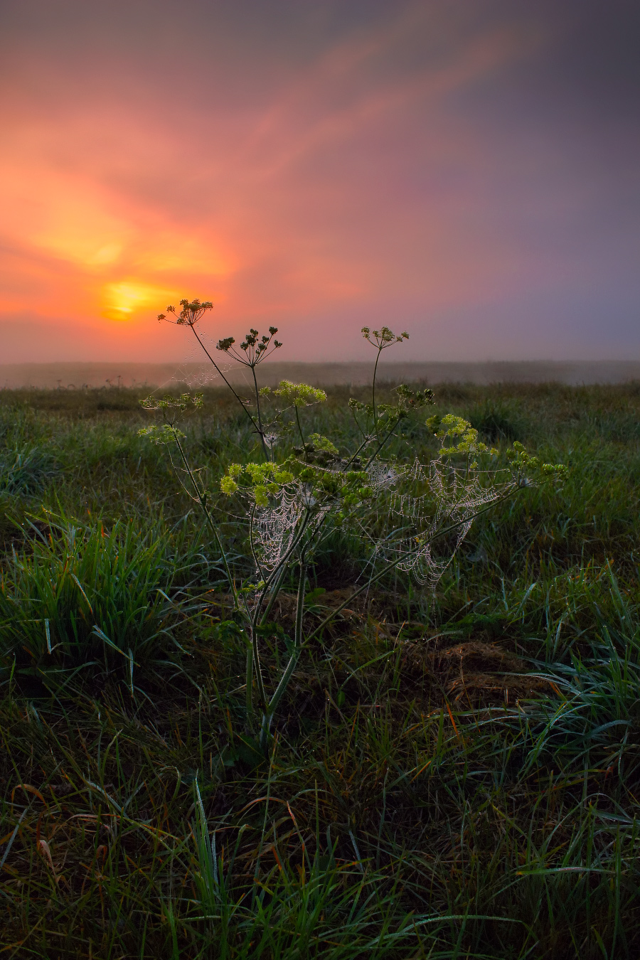 Про рассвет
