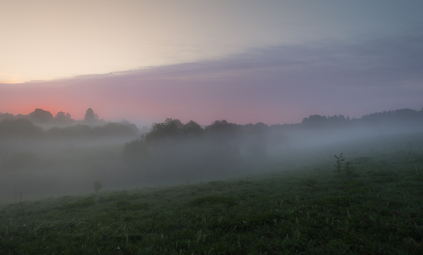 Туманная полосатость