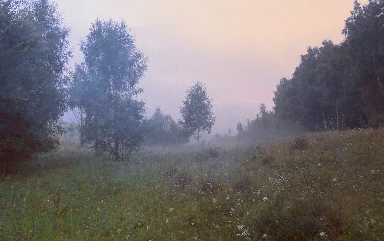 Туманное летнее утро