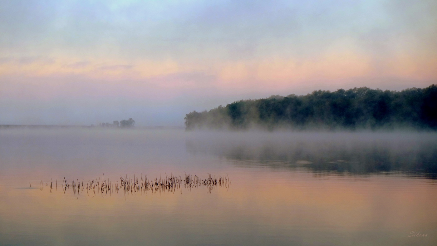 Утро туманное.