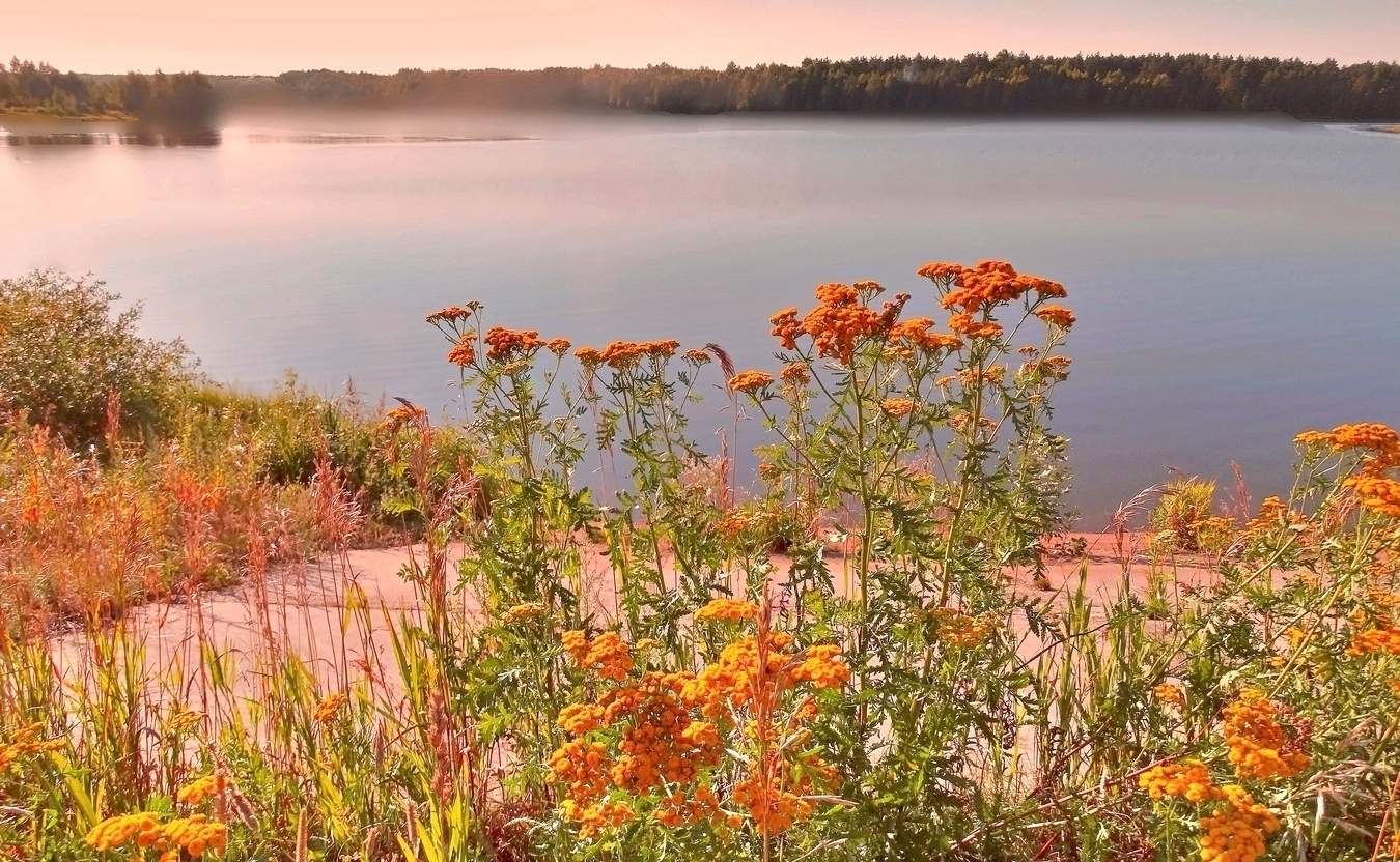 Летние вечерние зарисовки