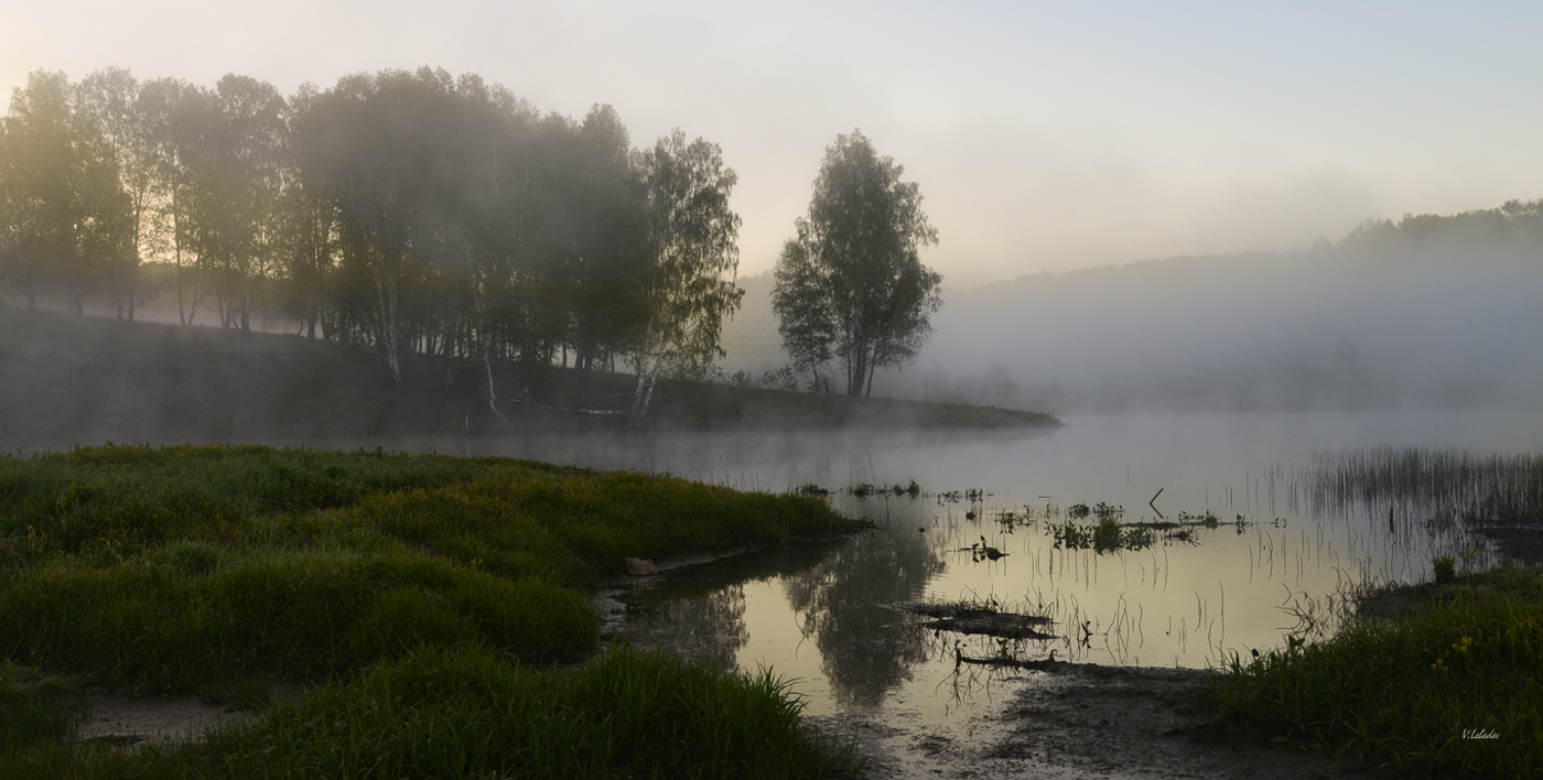 туманный рассвет
