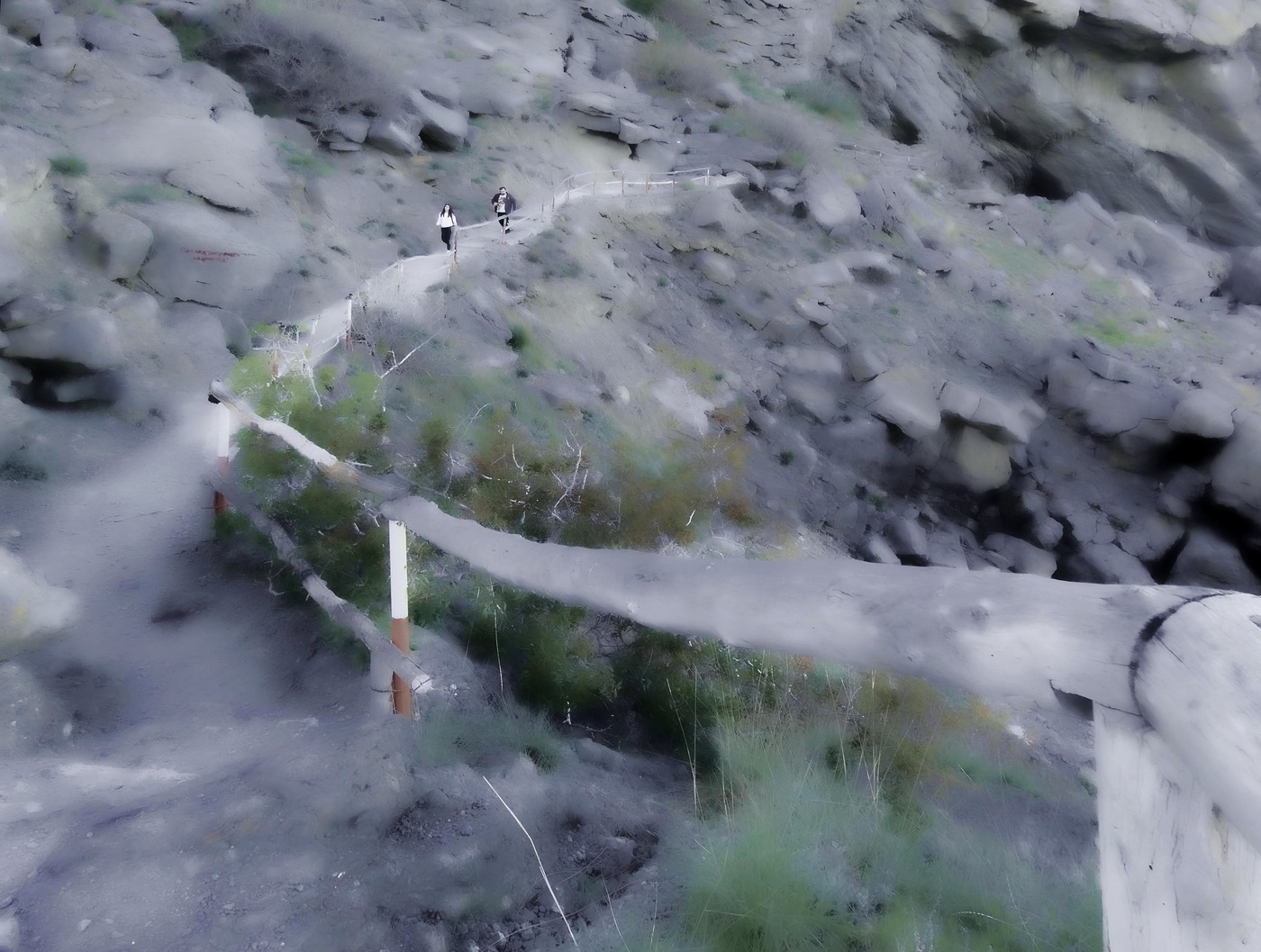 "букашки" на марше