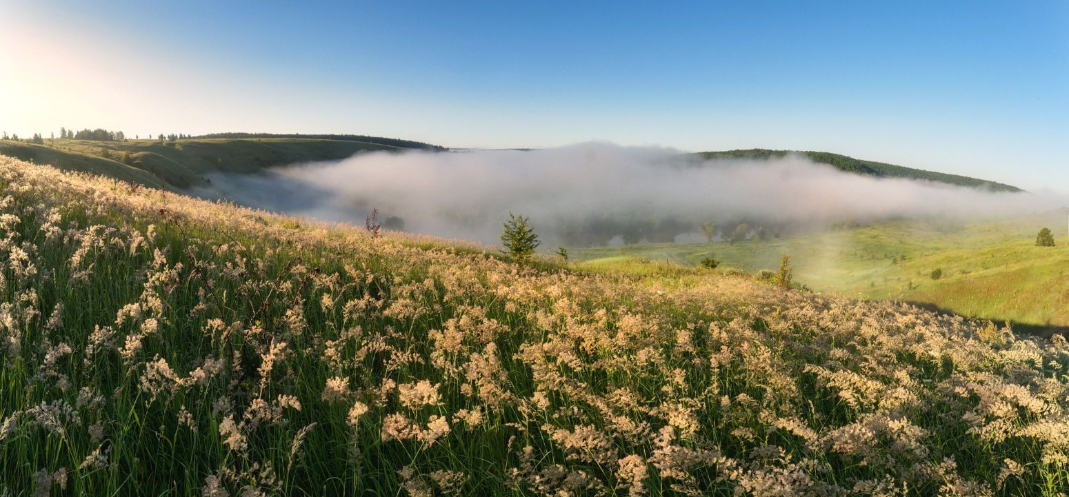 Июльское утро