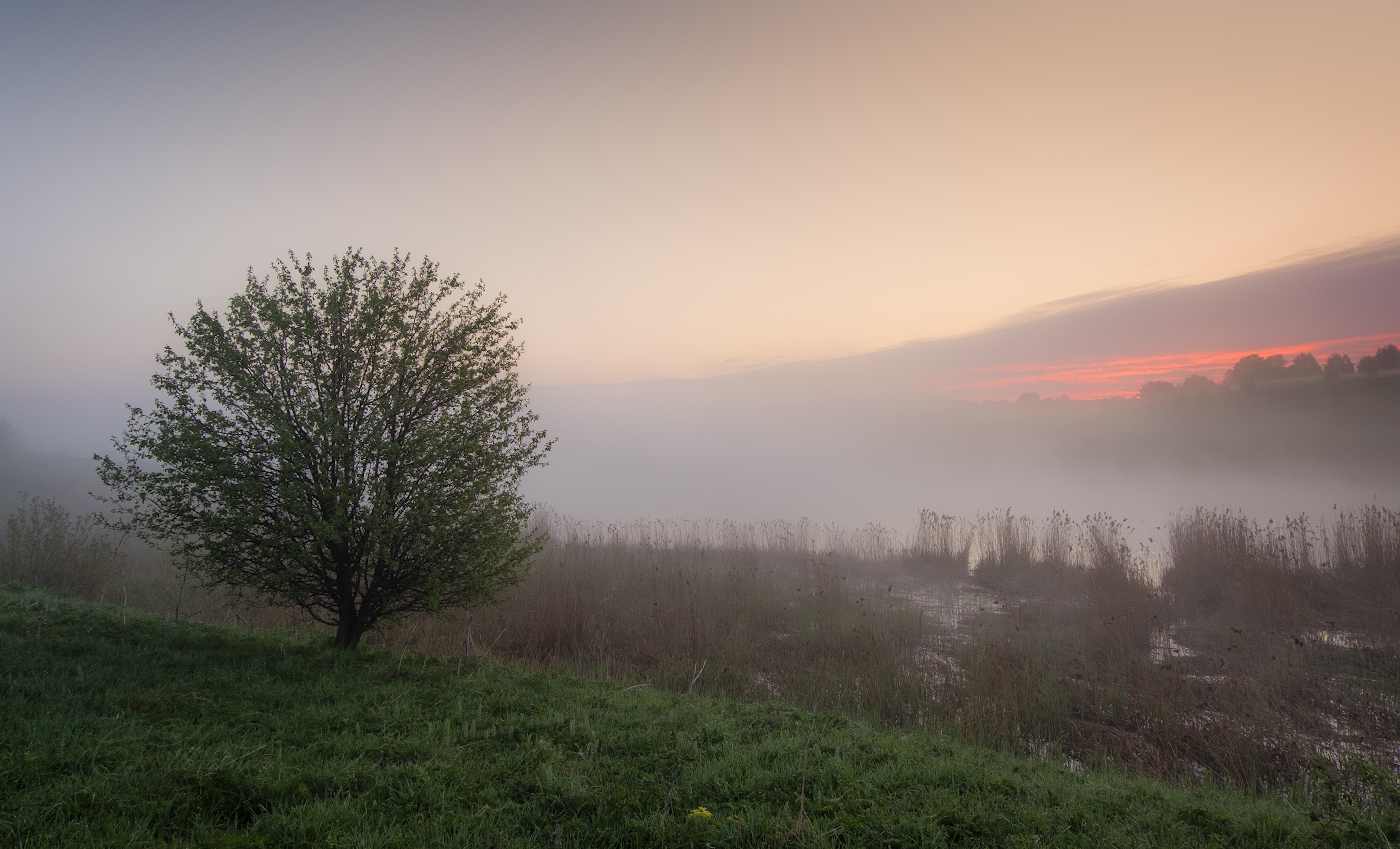Встречающая рассвет