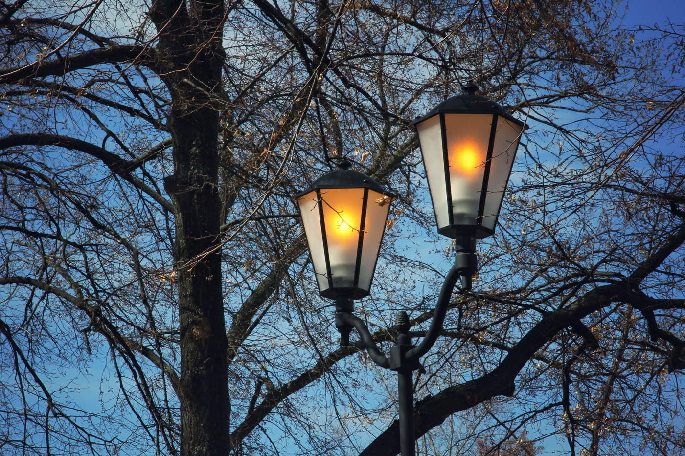 Прочие предметы