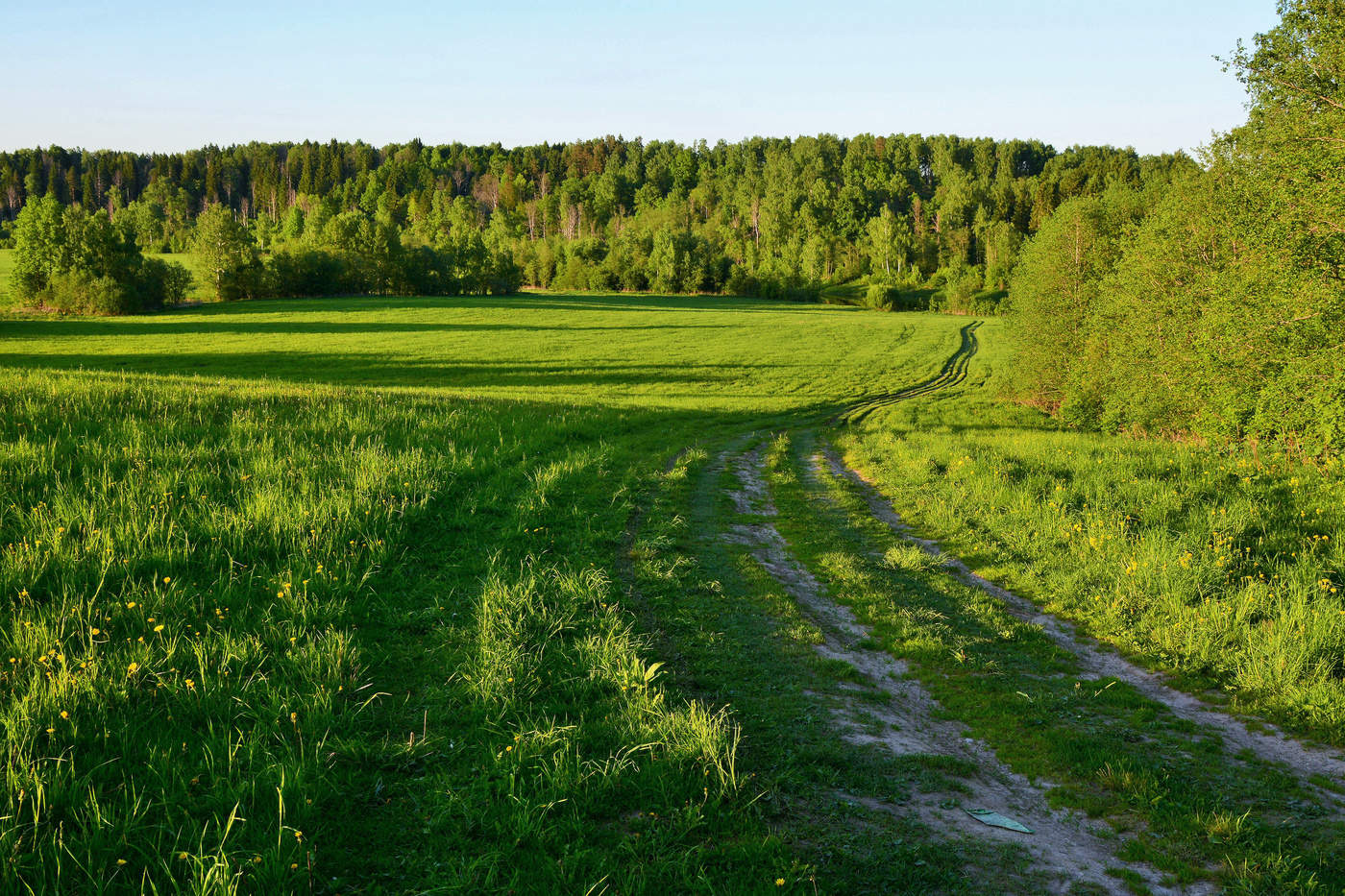 Под вечер ...