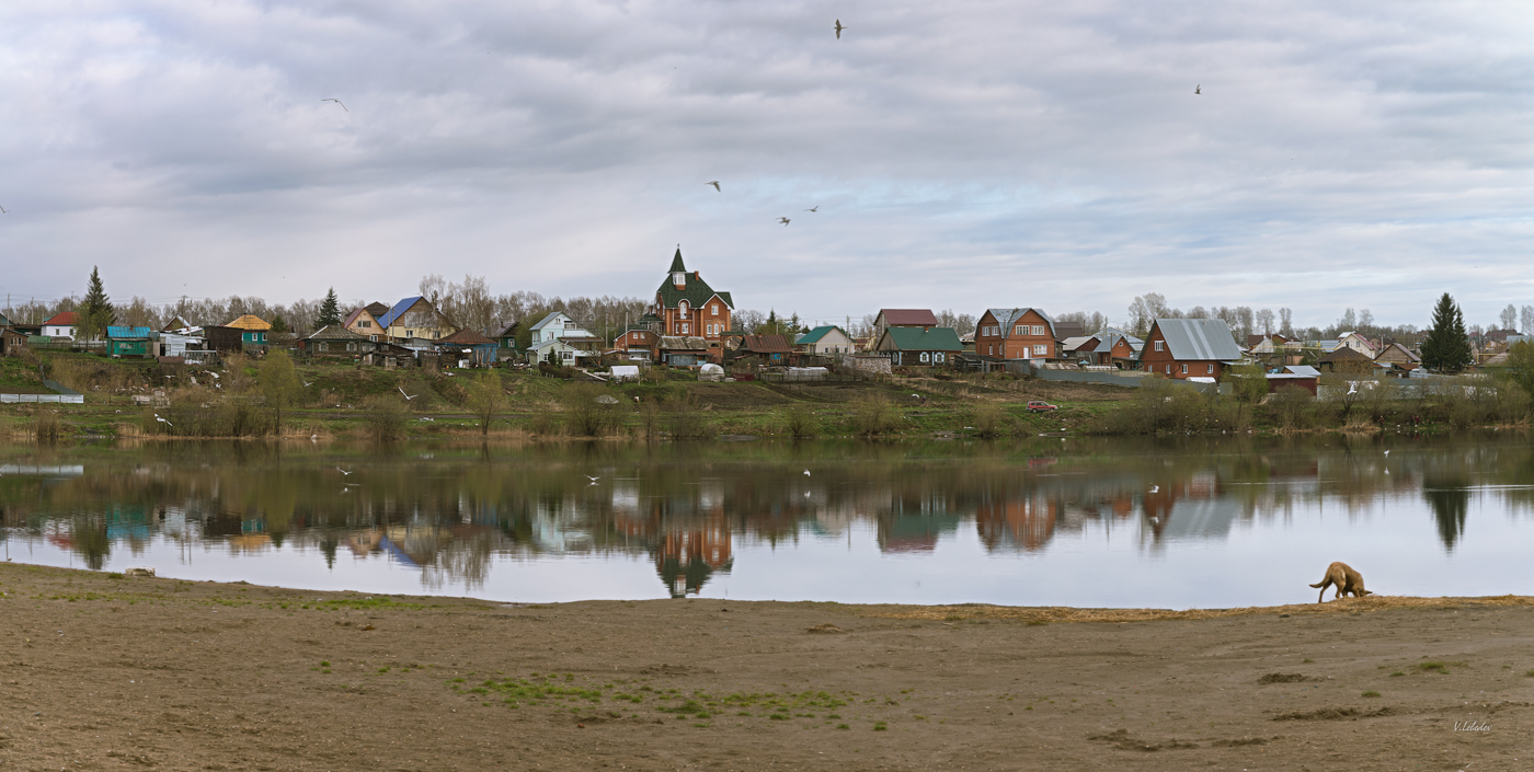 деревенское утро