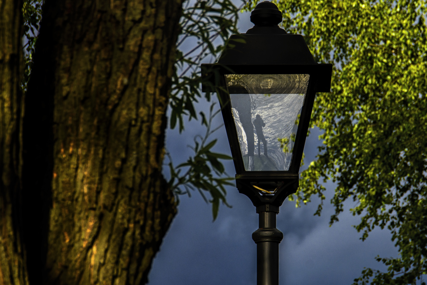 Фонарная экспрессия