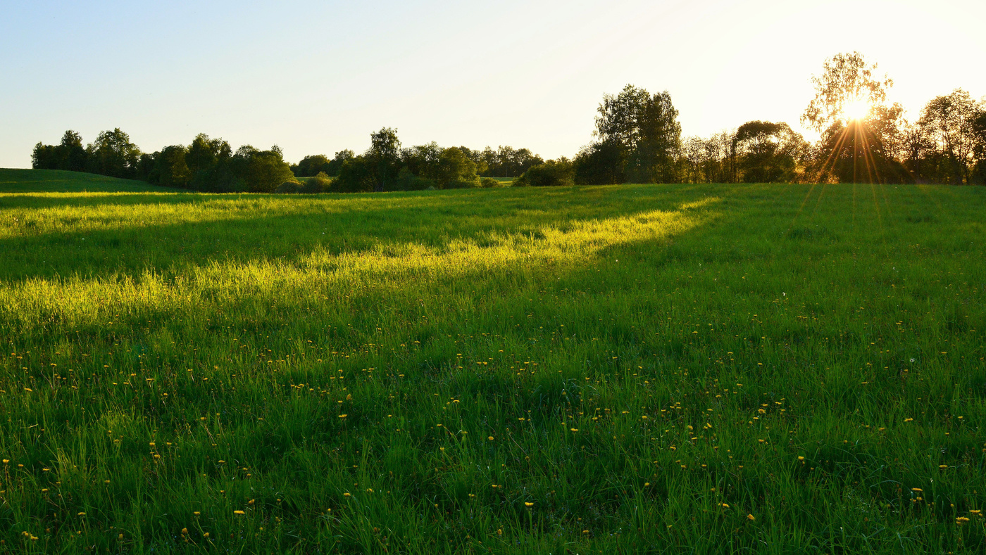 Бежин луг ...