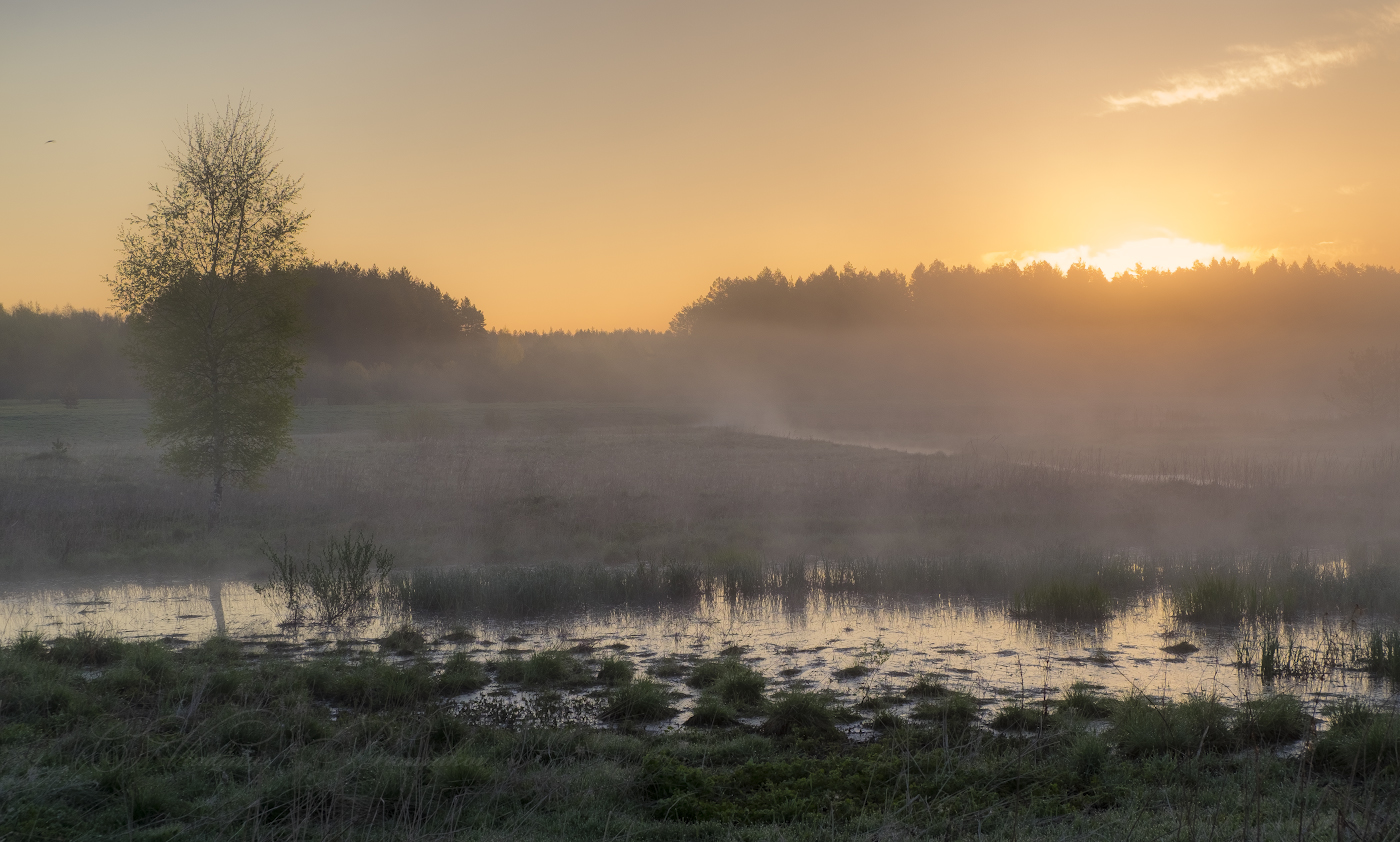 Окутанная туманом